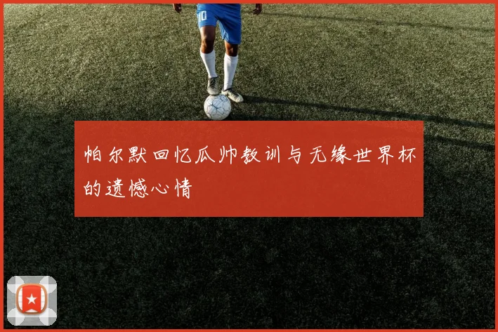 帕尔默回忆瓜帅教训与无缘世界杯的遗憾心情