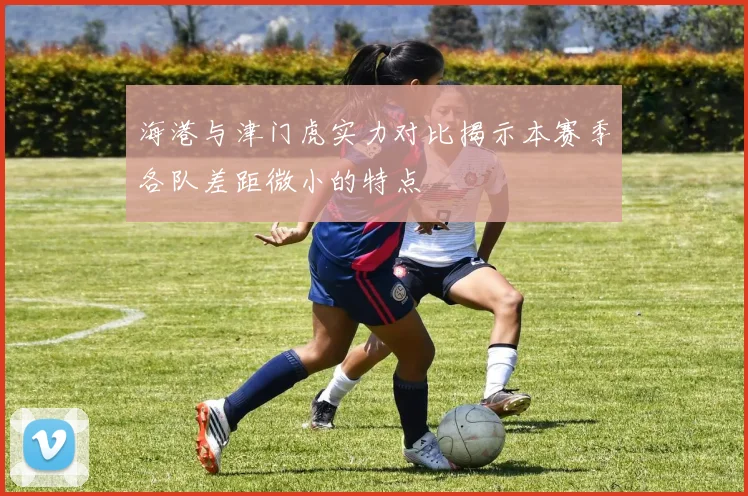 海港与津门虎实力对比揭示本赛季各队差距微小的特点